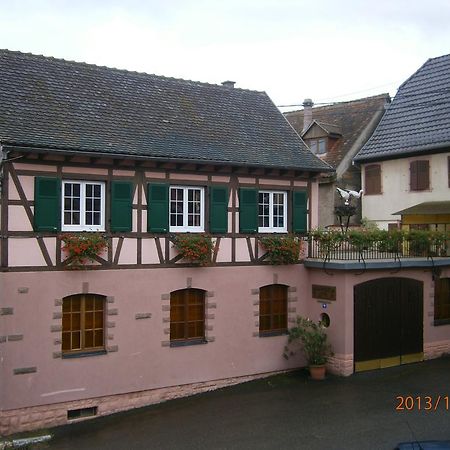 Gite Au Nid De Cigognes Villa Dieffenthal ภายนอก รูปภาพ