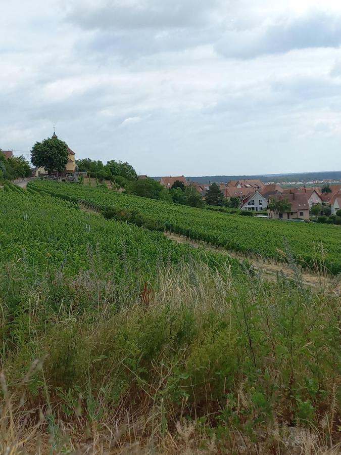 Gite Au Nid De Cigognes Villa Dieffenthal ภายนอก รูปภาพ