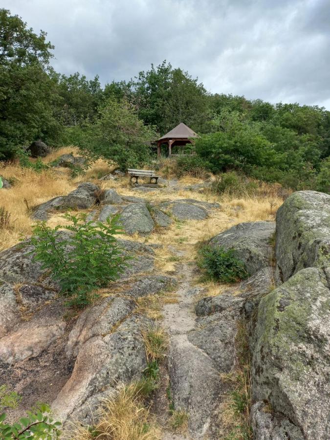 Gite Au Nid De Cigognes Villa Dieffenthal ภายนอก รูปภาพ